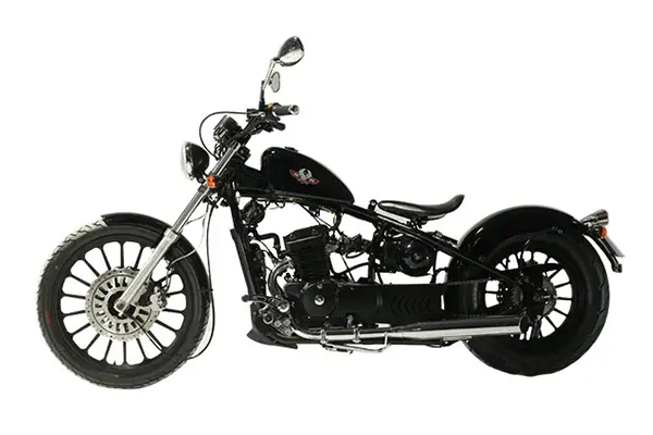 regal raptor bobber