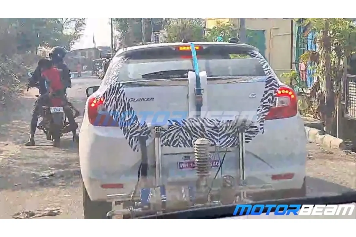 Glanza Hybrid Spotted