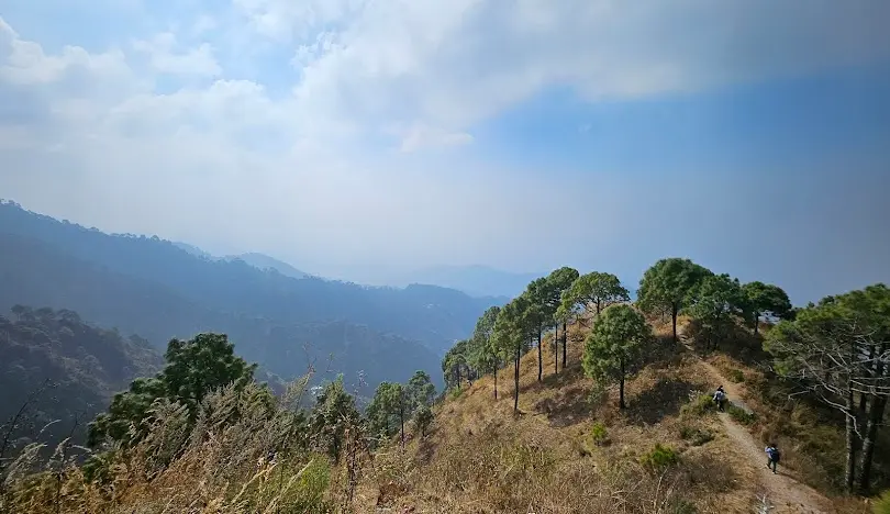Kasauli (60 km | Approx. 2 hours)
