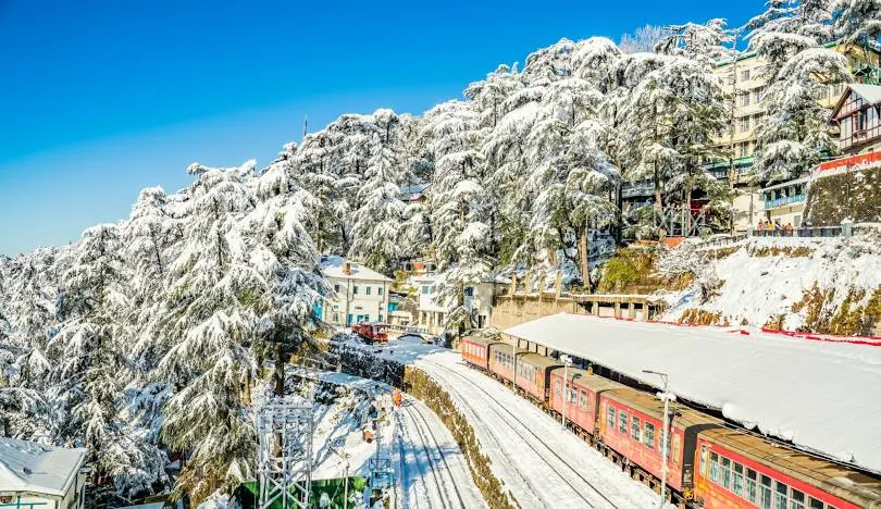 Shimla (115 km | Approx. 3.5 hours)