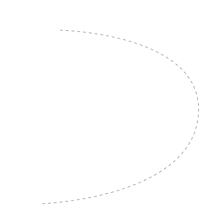 dashed-image