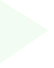 triangle left