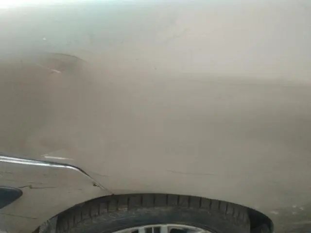 Hyundai Santro XO 2006