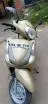 Honda Aviator 110cc 2014