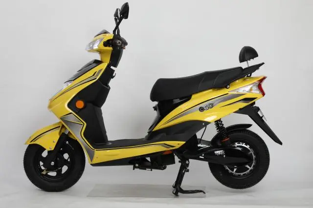 Ujaas eGO Standard 2021