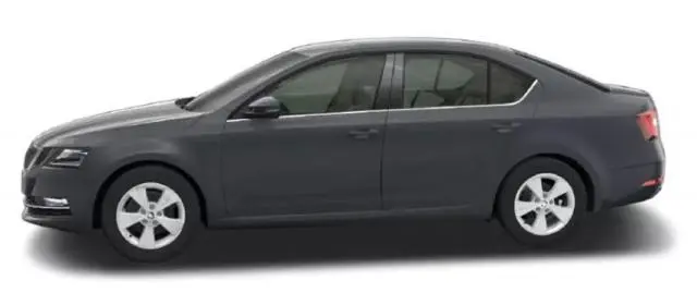 Skoda Octavia RS 245 2021