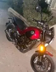Benelli Leoncino 500cc 2019