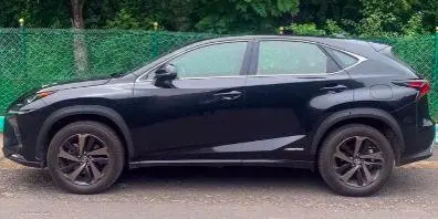 Lexus NX 300h Luxury 2020