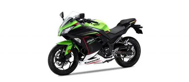 Kawasaki Ninja 300 2022