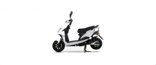 Techo Electra Neo Standard 2021