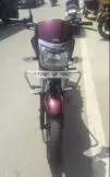 TVS Radeon 110cc Drum SBT 2019
