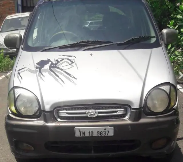 Hyundai Santro LE 2000