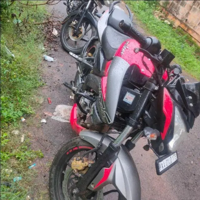 Bajaj Pulsar NS200 2019