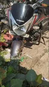 Honda CB Shine 125cc 2018