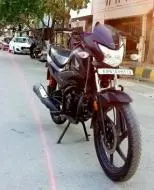 Honda Livo Disc 110cc 2017