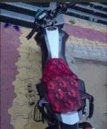 bg