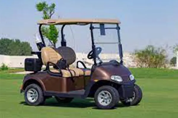 EV Golf Cart AKMASUKU EC 2 Seater 2022