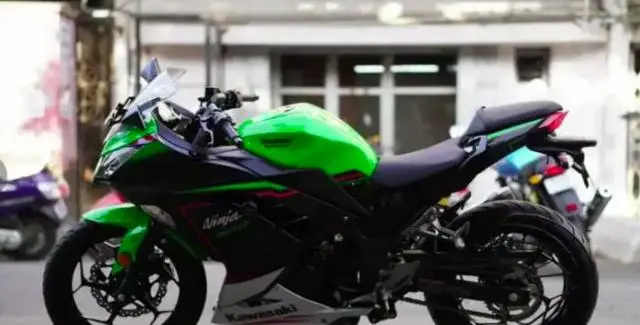 Kawasaki Ninja 300 BS6 2021