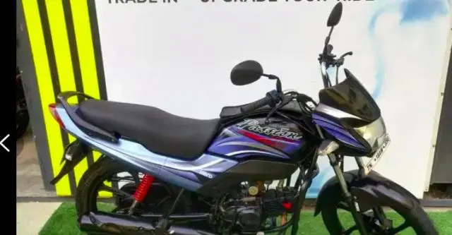 Hero Passion Pro 100cc 2019