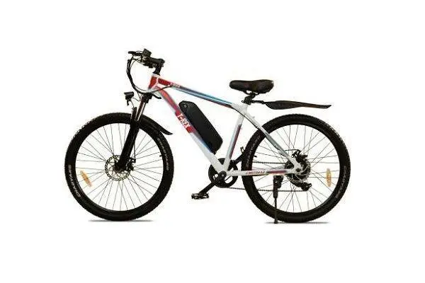 E MOTORAD T-REX STANDARD 2022