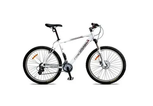 Raleigh Terrain 05 26 Inch 2022