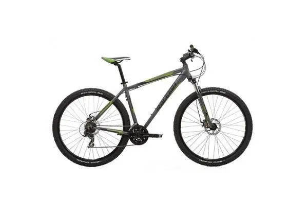 Raleigh Talus 29 ER 2020