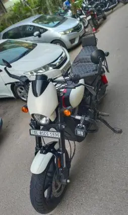 Harley-Davidson Street Rod 2019