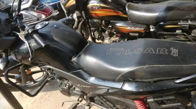 Honda Livo 110cc 2018