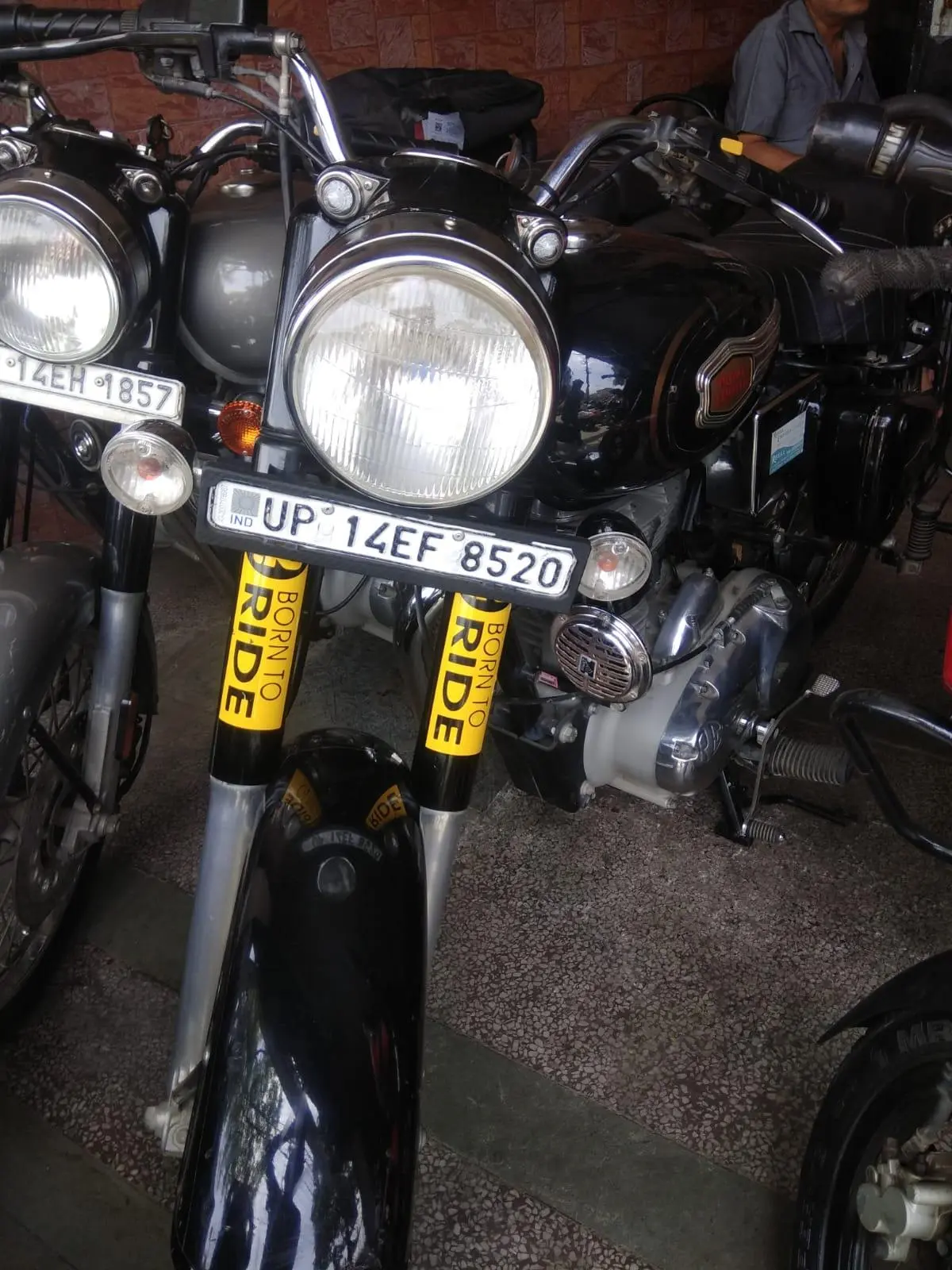 Royal Enfield Standard 350cc 2019