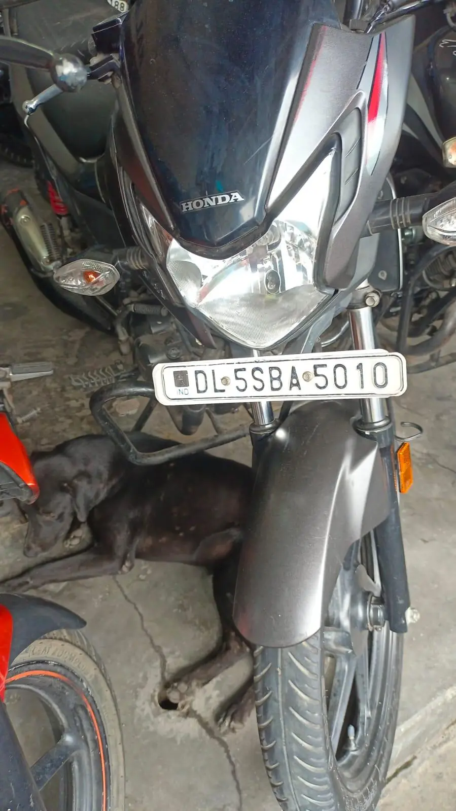 Honda Livo 110cc 2017