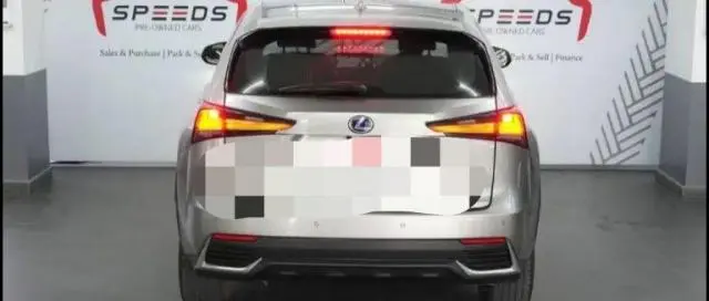 Lexus NX 300h Luxury 2019