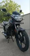 Honda Shine 125cc Disc 2023