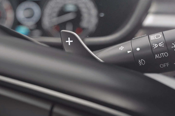 Maruti Suzuki Brezza LXi 2024