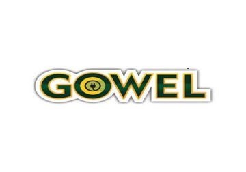 Used Gowel Scooters Price