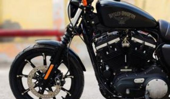 Used Harley-Davidson Iron 883 2015