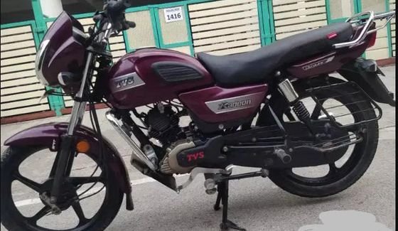 Used TVS Radeon 110cc Drum SBT 2019