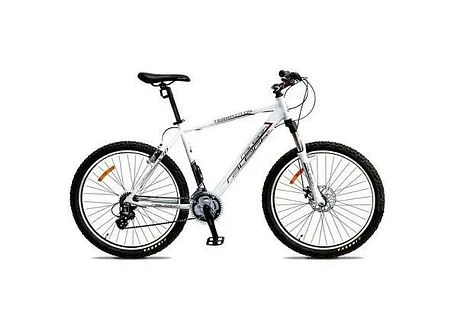 New Raleigh Terrain 05 26 Inch 2022