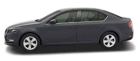 Skoda Octavia RS 245 2021